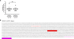 Figure 3—figure supplement 5.