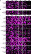 Figure 3—figure supplement 1.