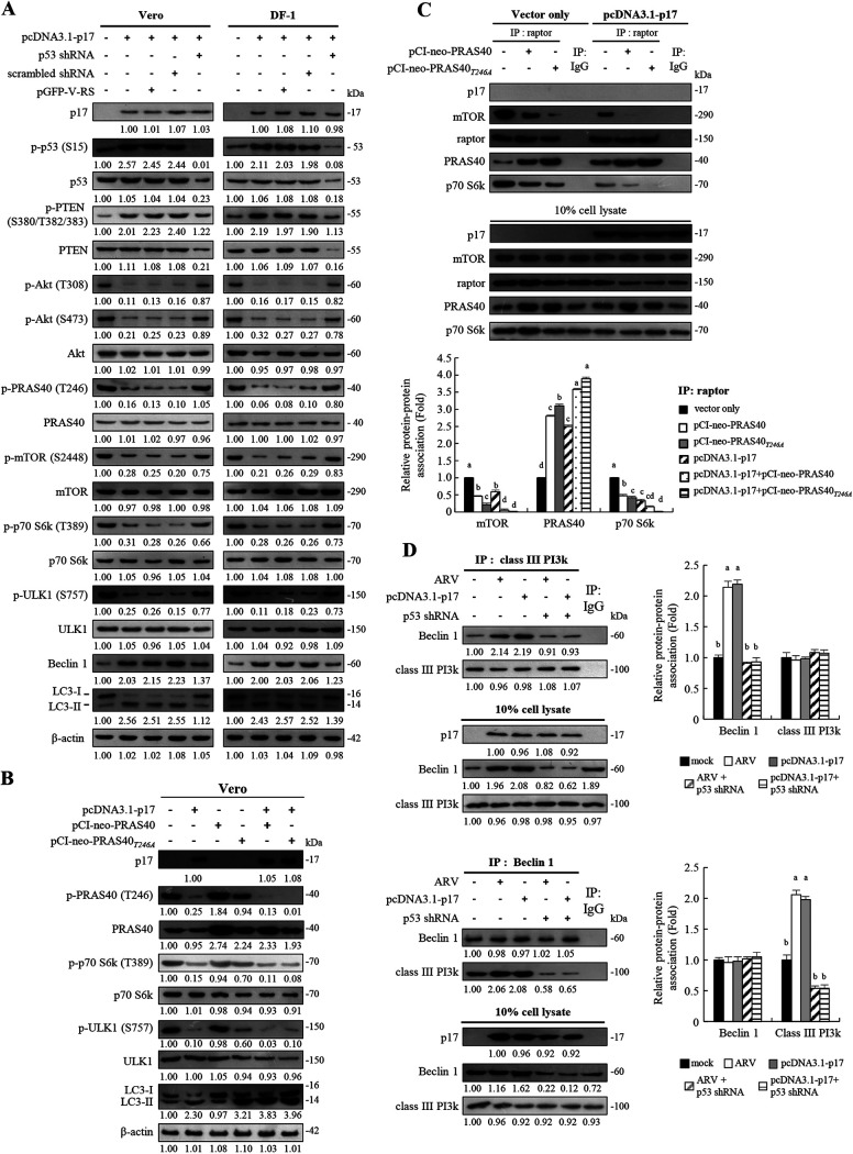 FIG 1