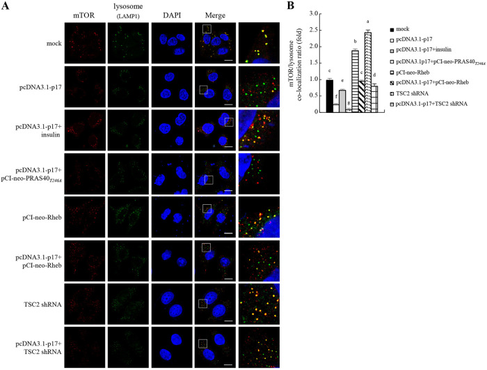 FIG 6