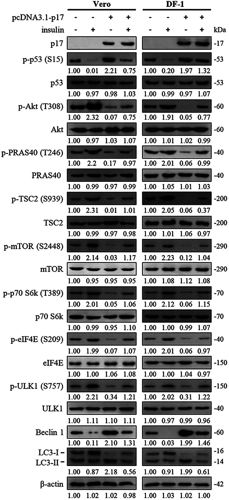 FIG 2