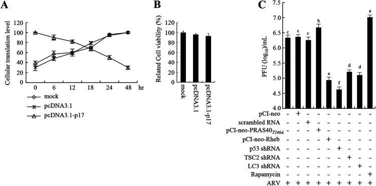 FIG 8