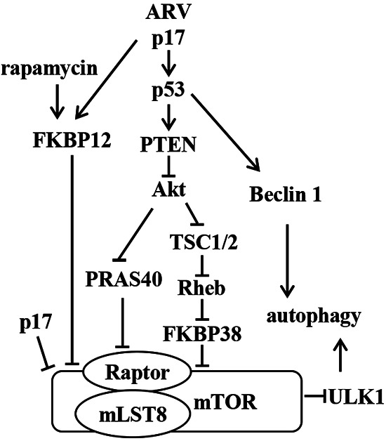 FIG 9