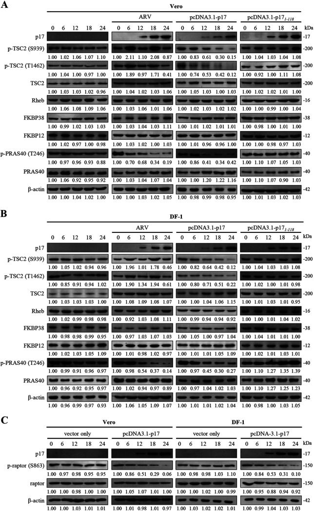 FIG 3