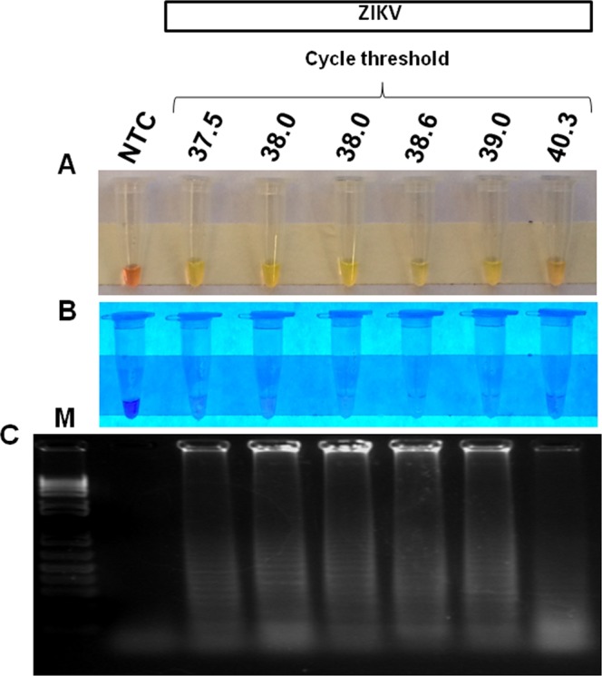 Figure 5