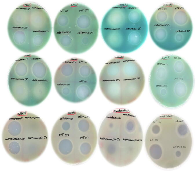 Fig. 2A