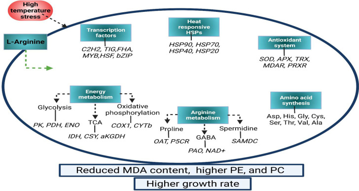 Figure 3