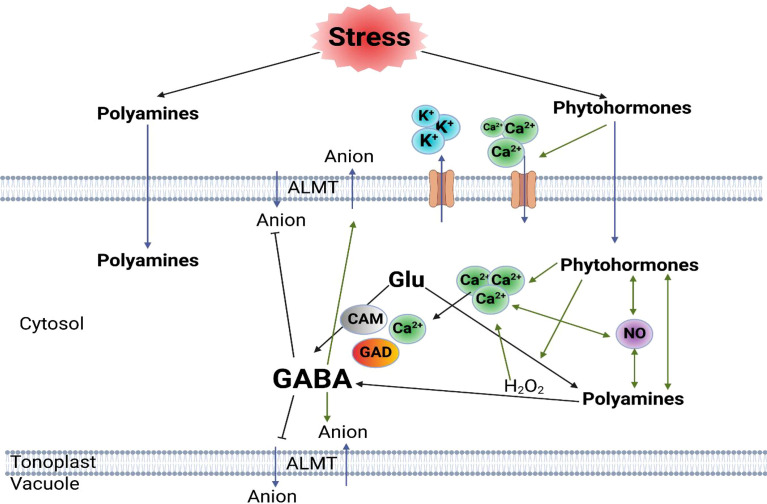 Figure 2