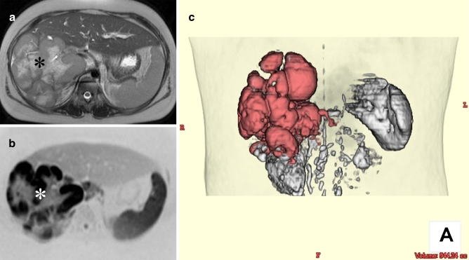 Fig. 9