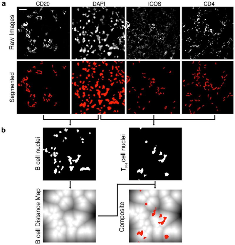 Fig. 3