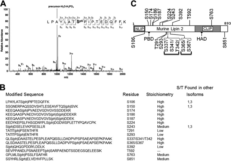 FIGURE 4.