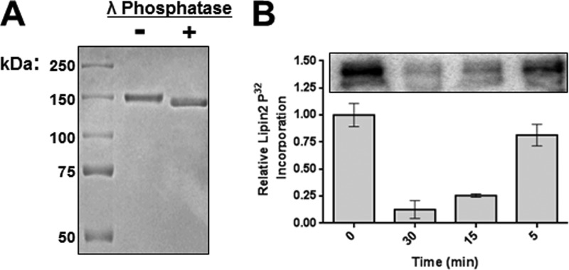 FIGURE 5.