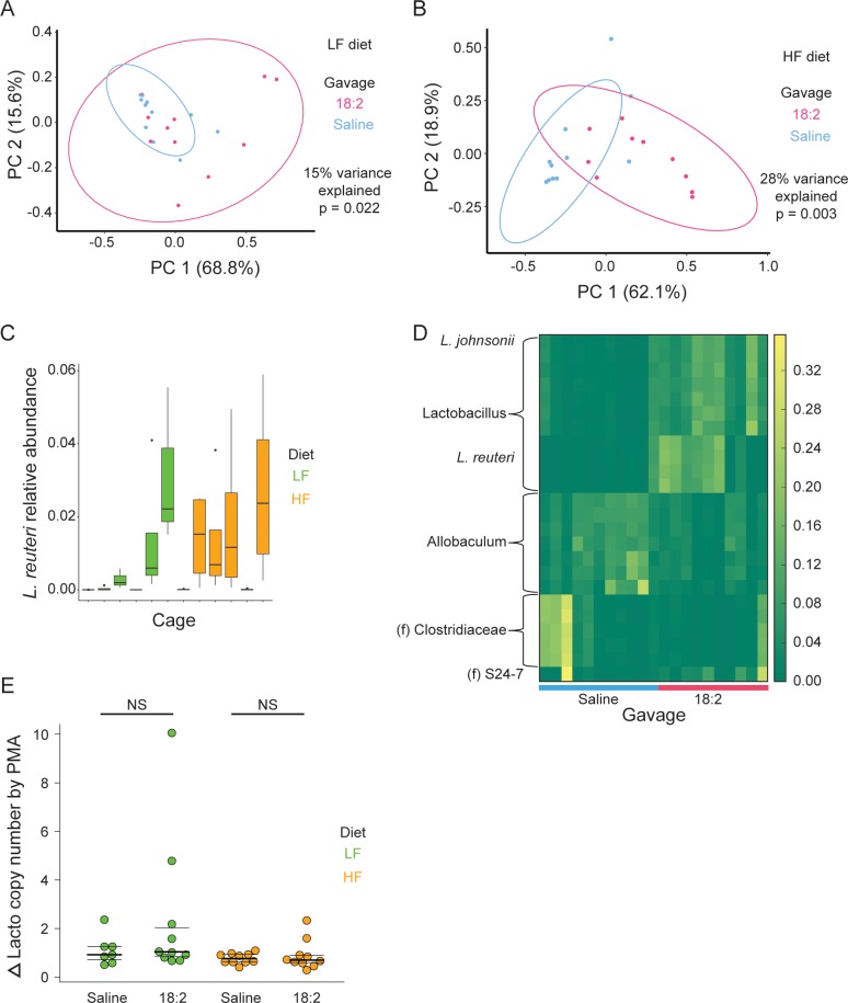 Figure 4—figure supplement 2.