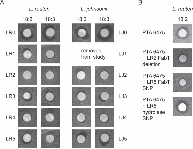 Figure 3—figure supplement 2.