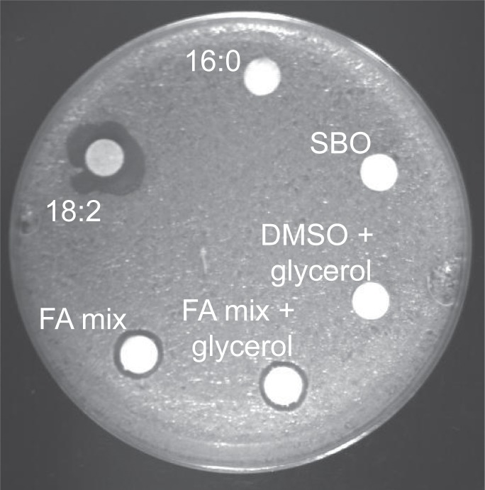 Figure 1—figure supplement 1.