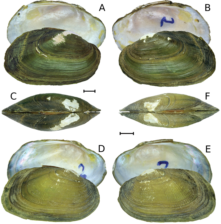 Figure 2.