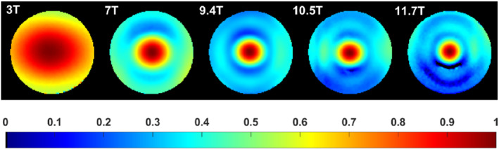 MRM-29391-FIG-0002-c