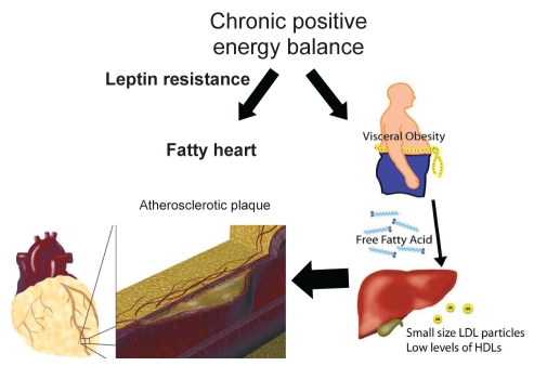 Figure 4)