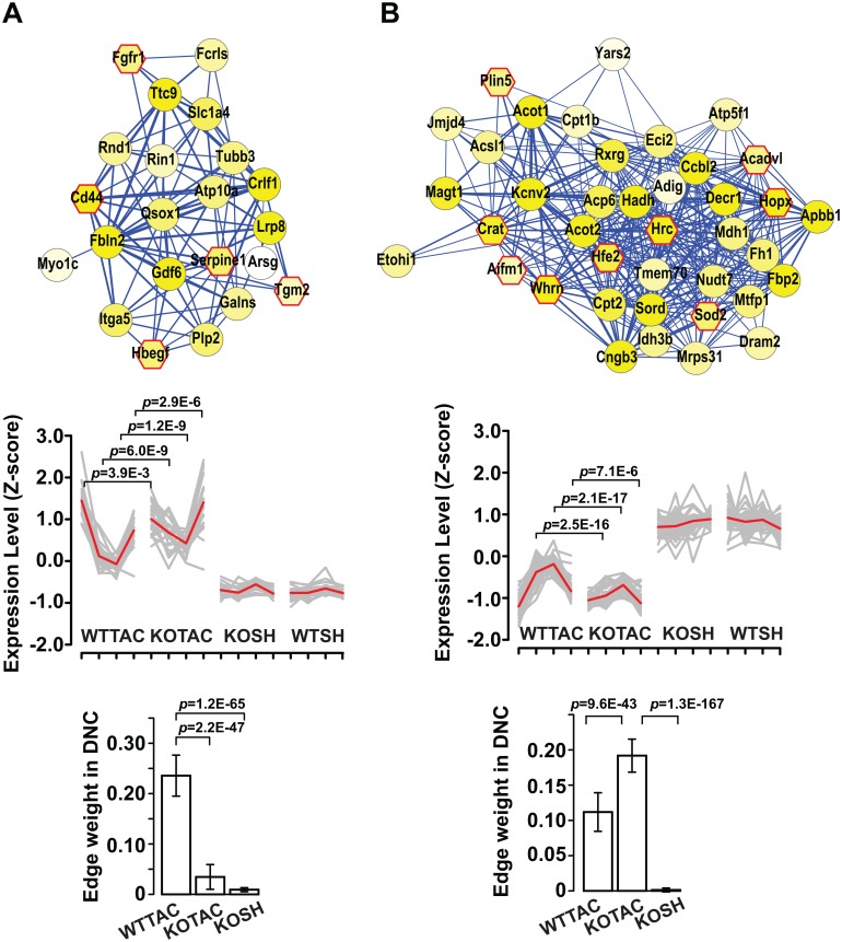 Fig 6