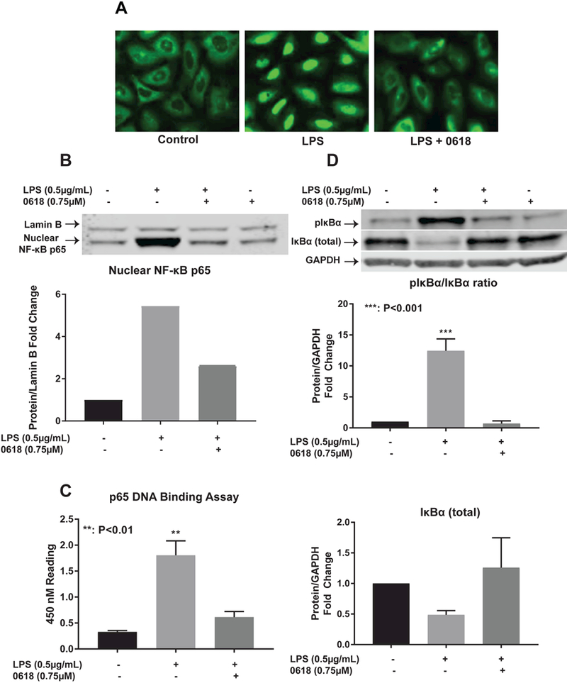 Figure 4: