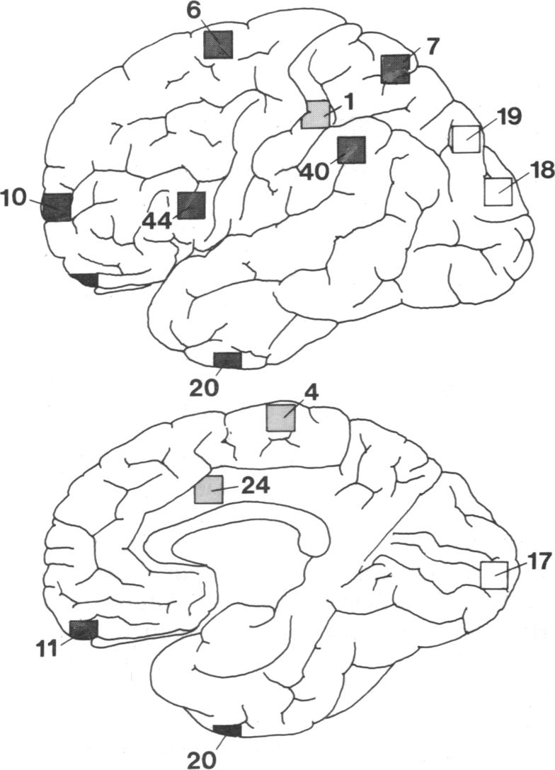 graphic file with name pnas00262-0377-a.jpg