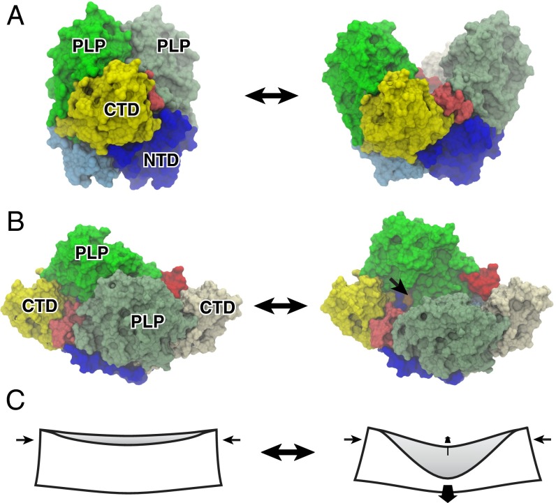 Fig. 4.