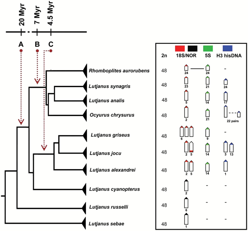 Figure 3.