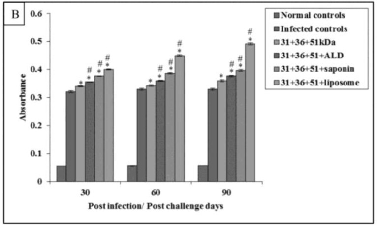 Fig.9B: