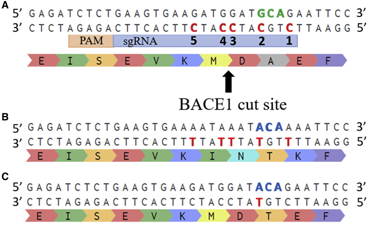 Figure 2