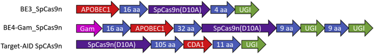 Figure 1