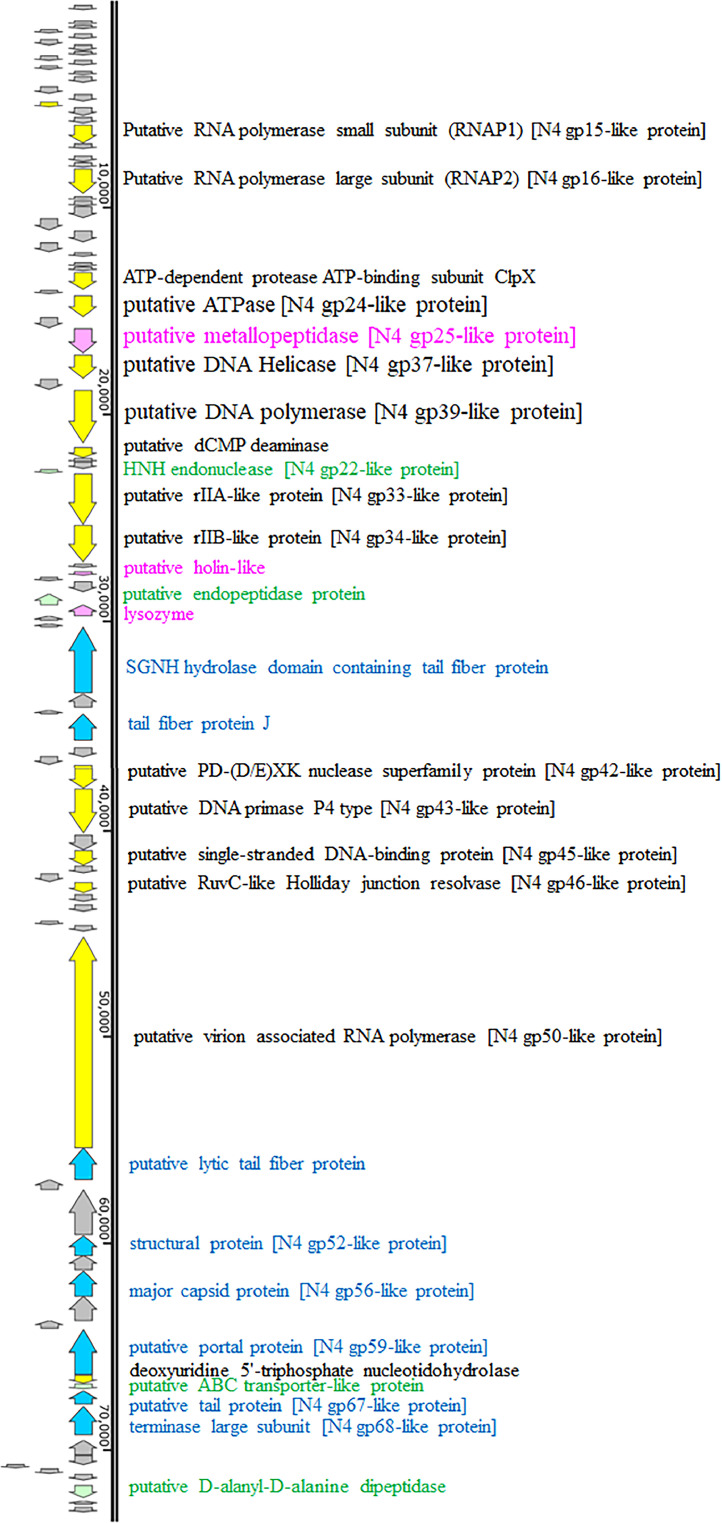 Fig 6