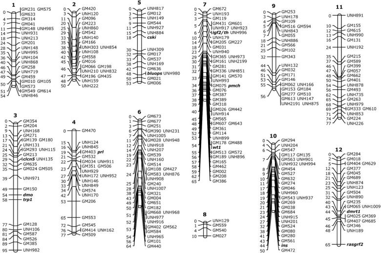 Figure 1.—