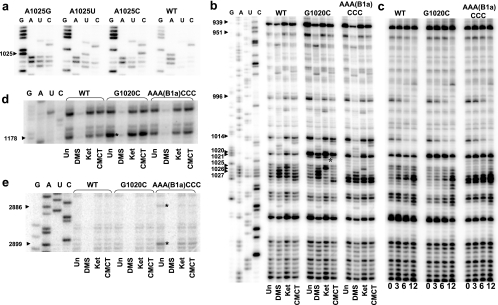 FIG. 6.