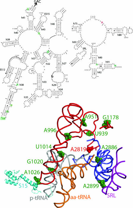 FIG. 7.