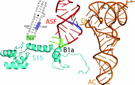 FIG. 2.