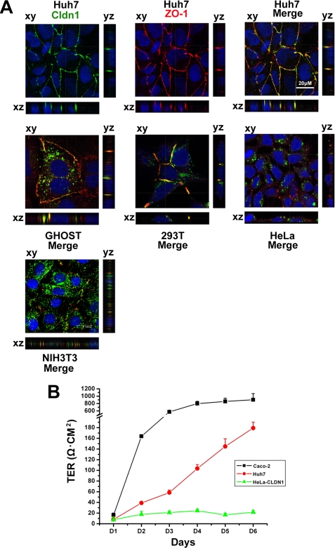 FIGURE 6.