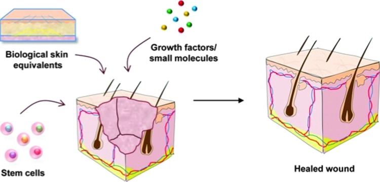 Figure 2.