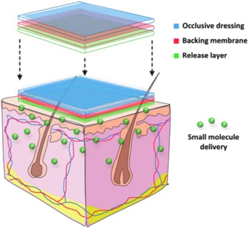 Figure 3.