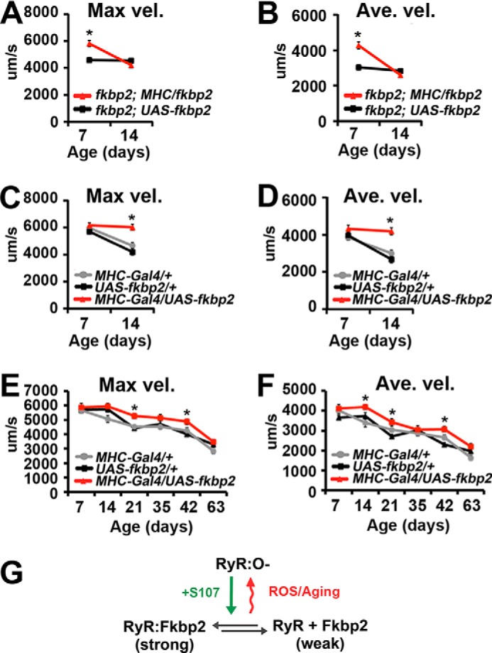 FIGURE 7.