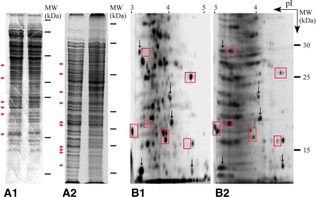 FIG. 4.