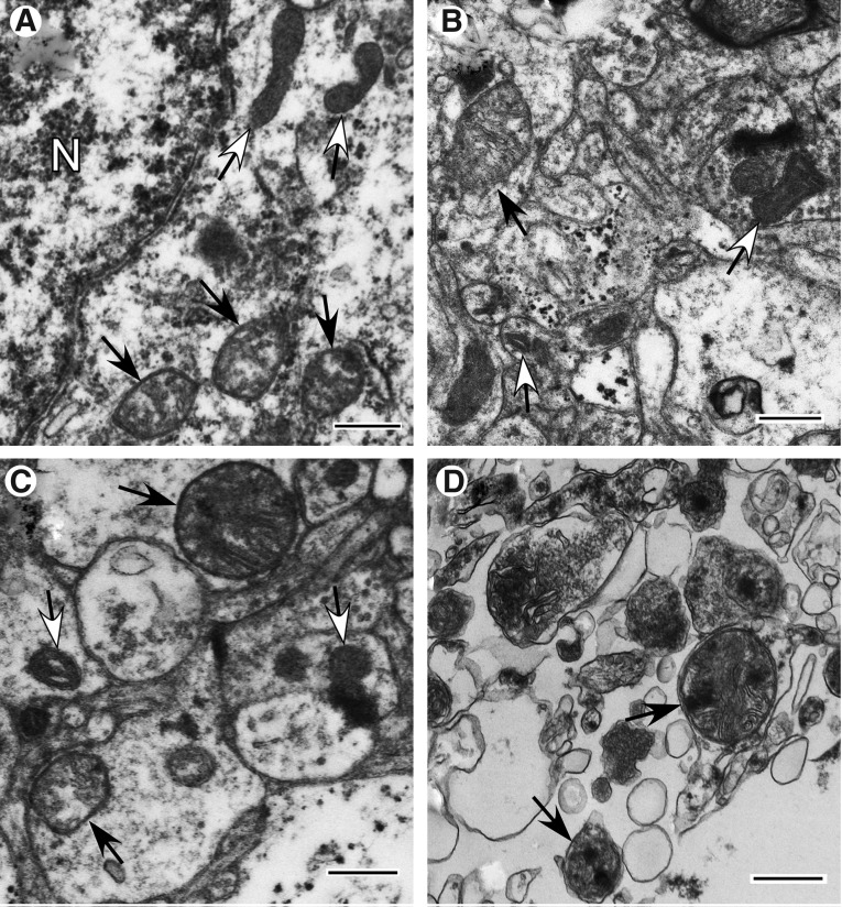 FIG. 6.