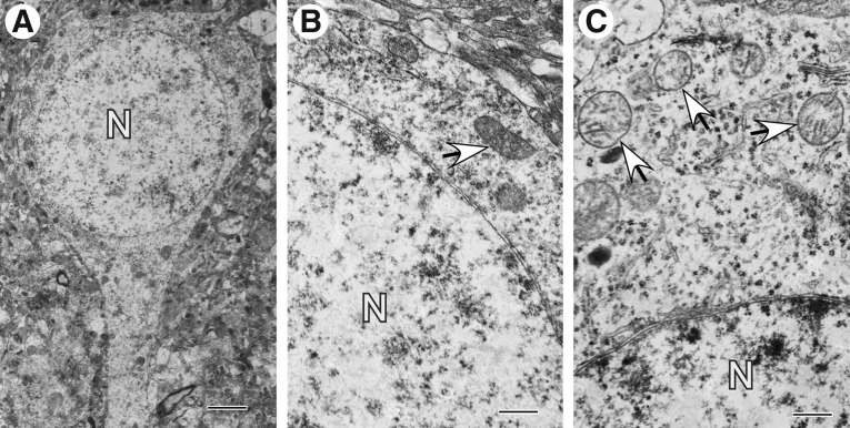 FIG. 8.