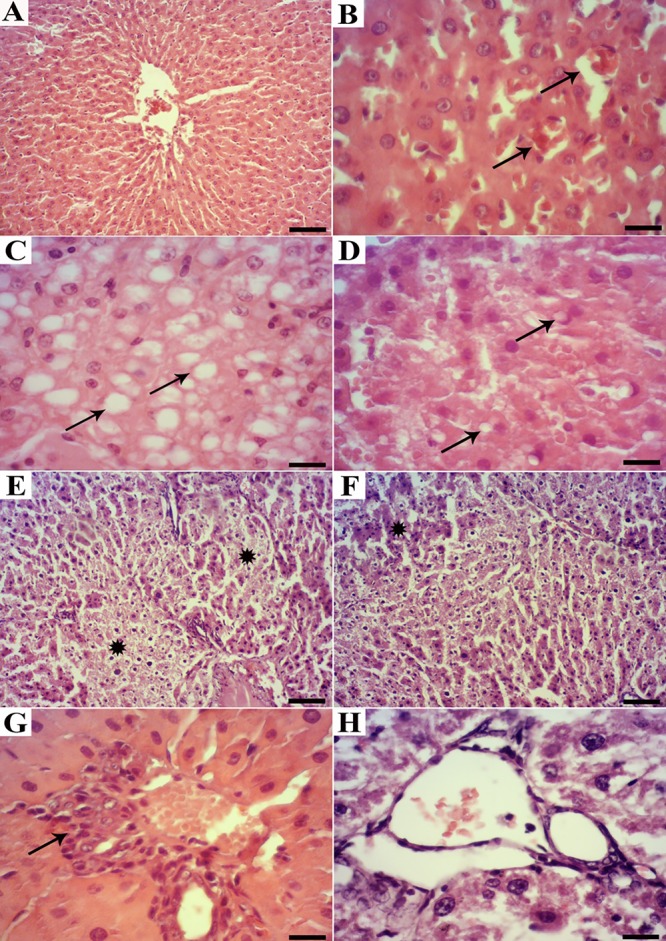 Figure3