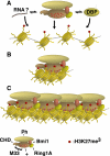 Figure 7.