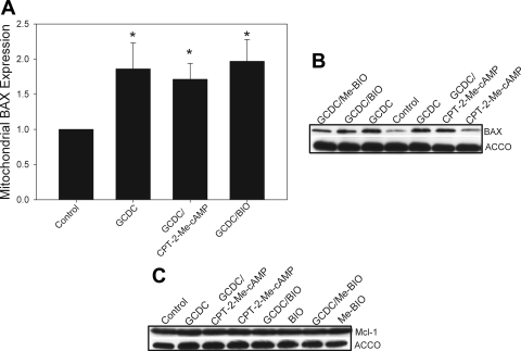 Fig. 9.