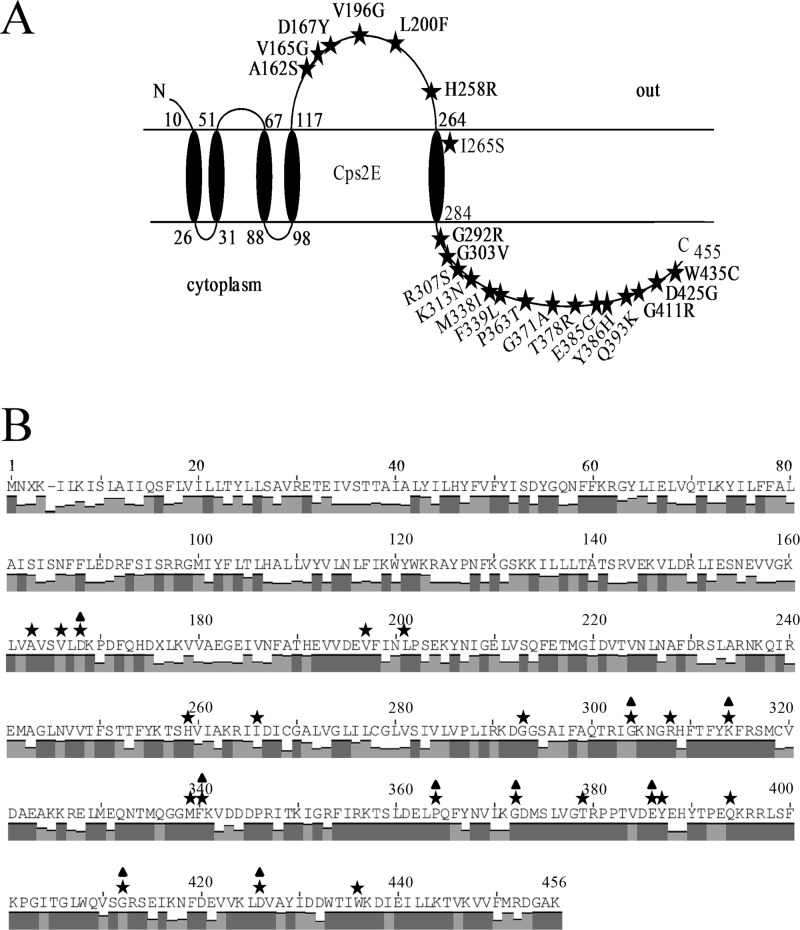 Fig 5