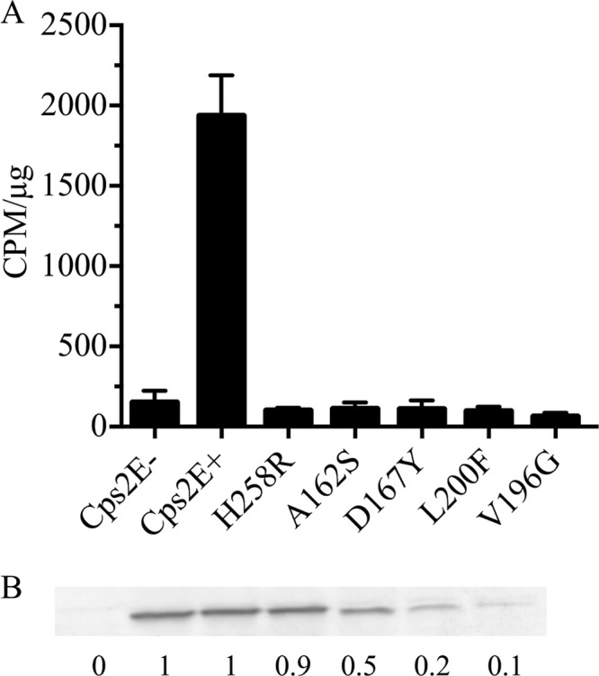 Fig 8