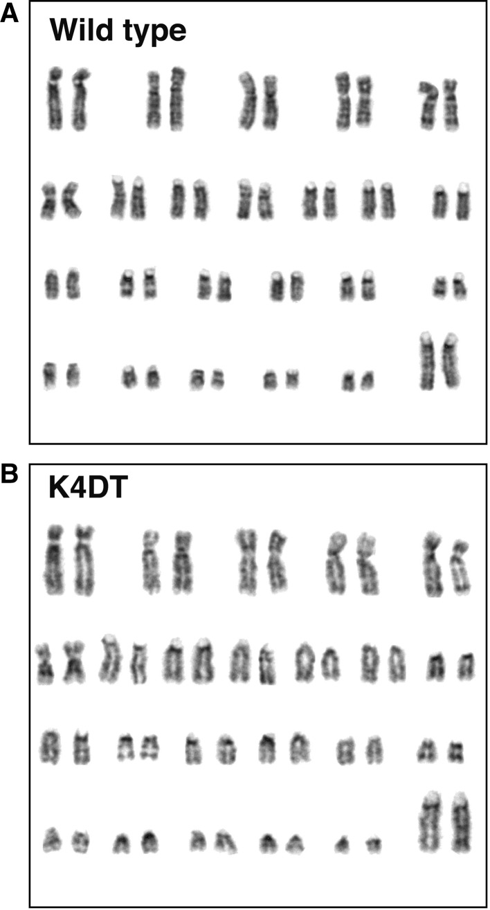 Fig. 4