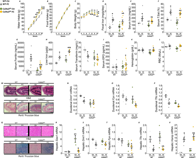 Figure 5: