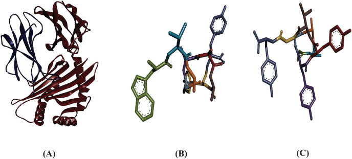 Fig. 2